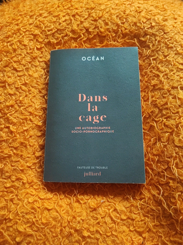 Dans la cage, par Océan