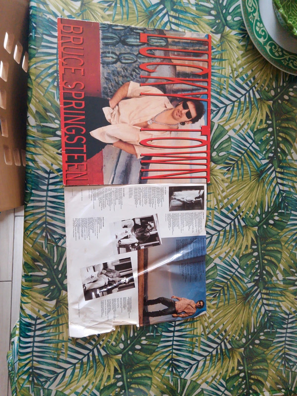 Vinile Bruce springsteen