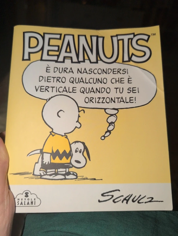 Libro fumetti Peanuts metà prezzo