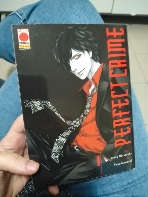 Perfect crime 1