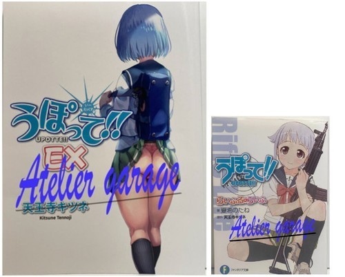 Nuovo manga giapponese Upotte EX + USATO romanzo 2 set Kitsune Tennouji