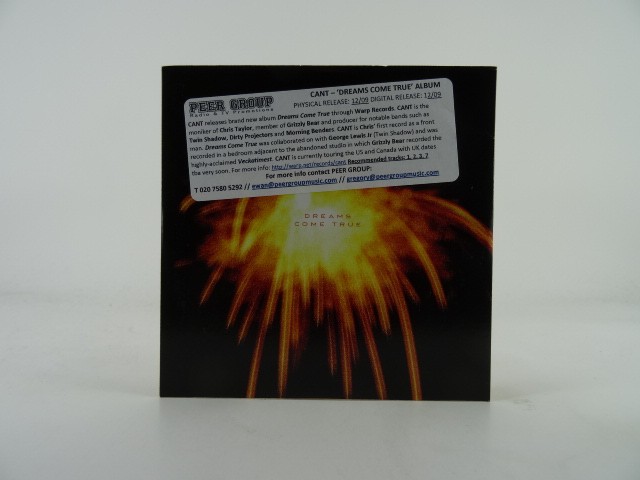 CANT DREAMS COME TRUE (458) 10 Track Promo CD Album including Card Sleeve TERRIB
