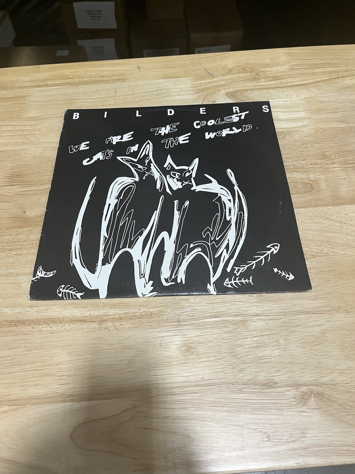 Bilders: We Are The Coolest Cats In The World LP. G+/G