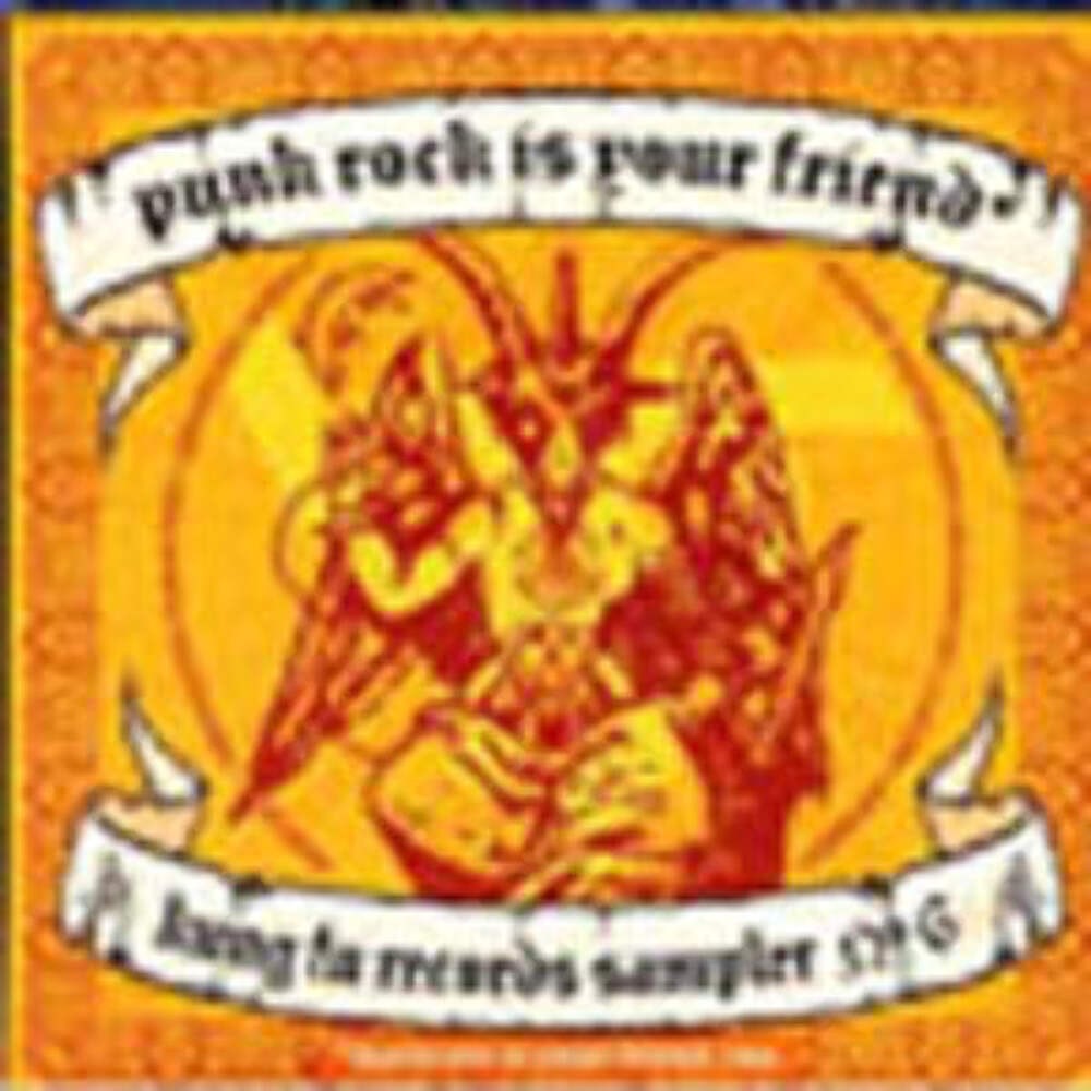 Various Artists - Punk Rock Is Your Friend-Sampl - Punk - Music CD