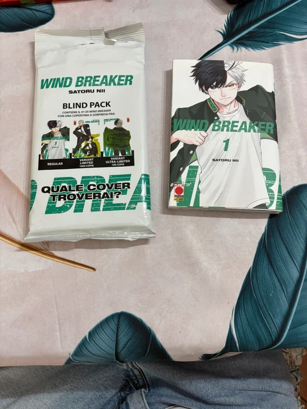 wind breaker 1 in ottime condizioni