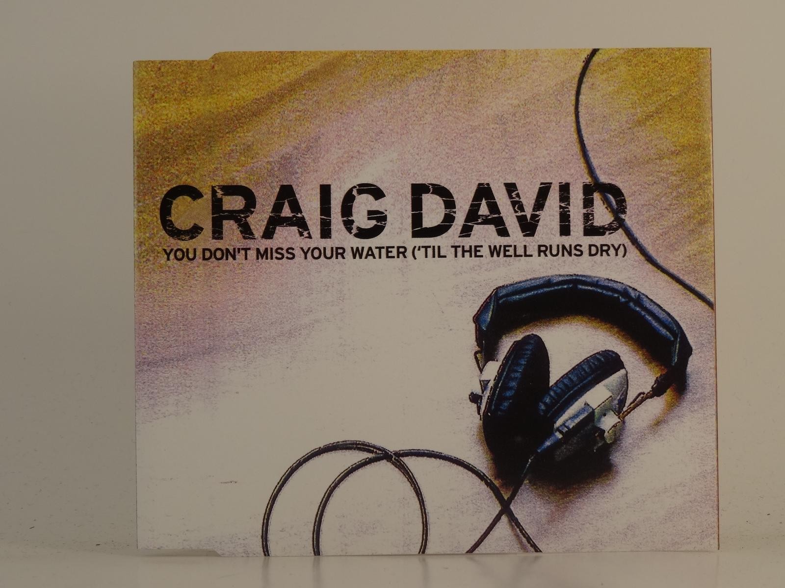 CRAIG DAVID YOU DONT MISS YOUR WATER (H1) Best Prices on eBay 