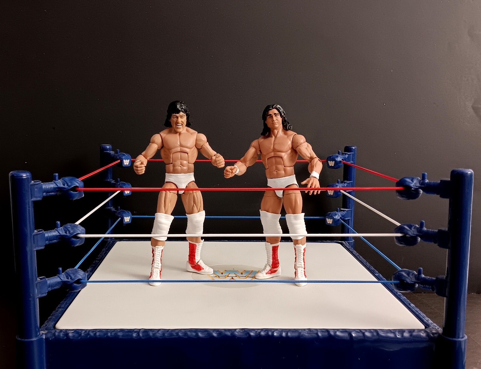 CAN AM CONNECTION MARTEL ZENK WWE CUSTOM MATTEL ELITE FIGURE leggenda classica wcw