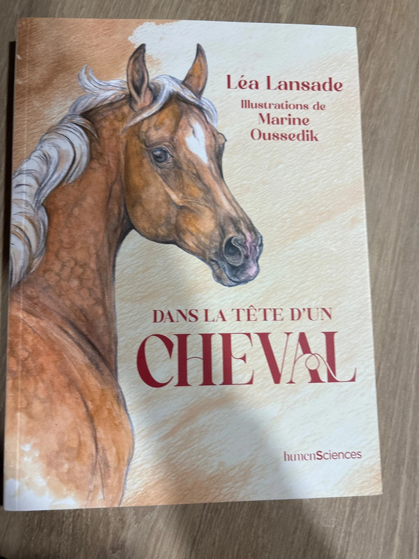 Livré dans la tête d’un cheval