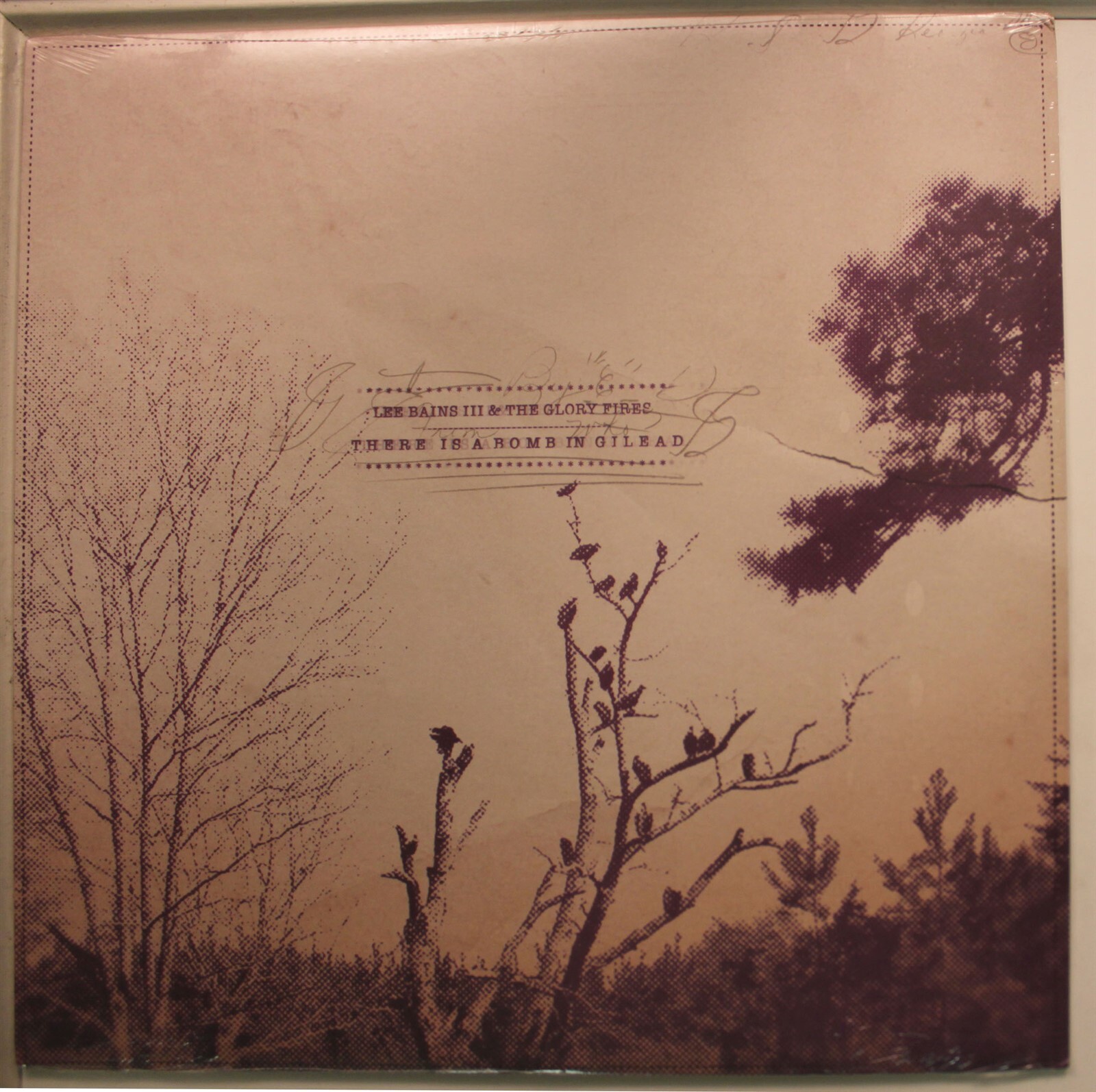Lee Bains III & The Glory Fires LP Vinile 12" 33 RPM Sealed