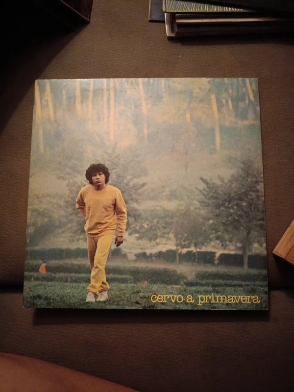 Vinile 33 giri
