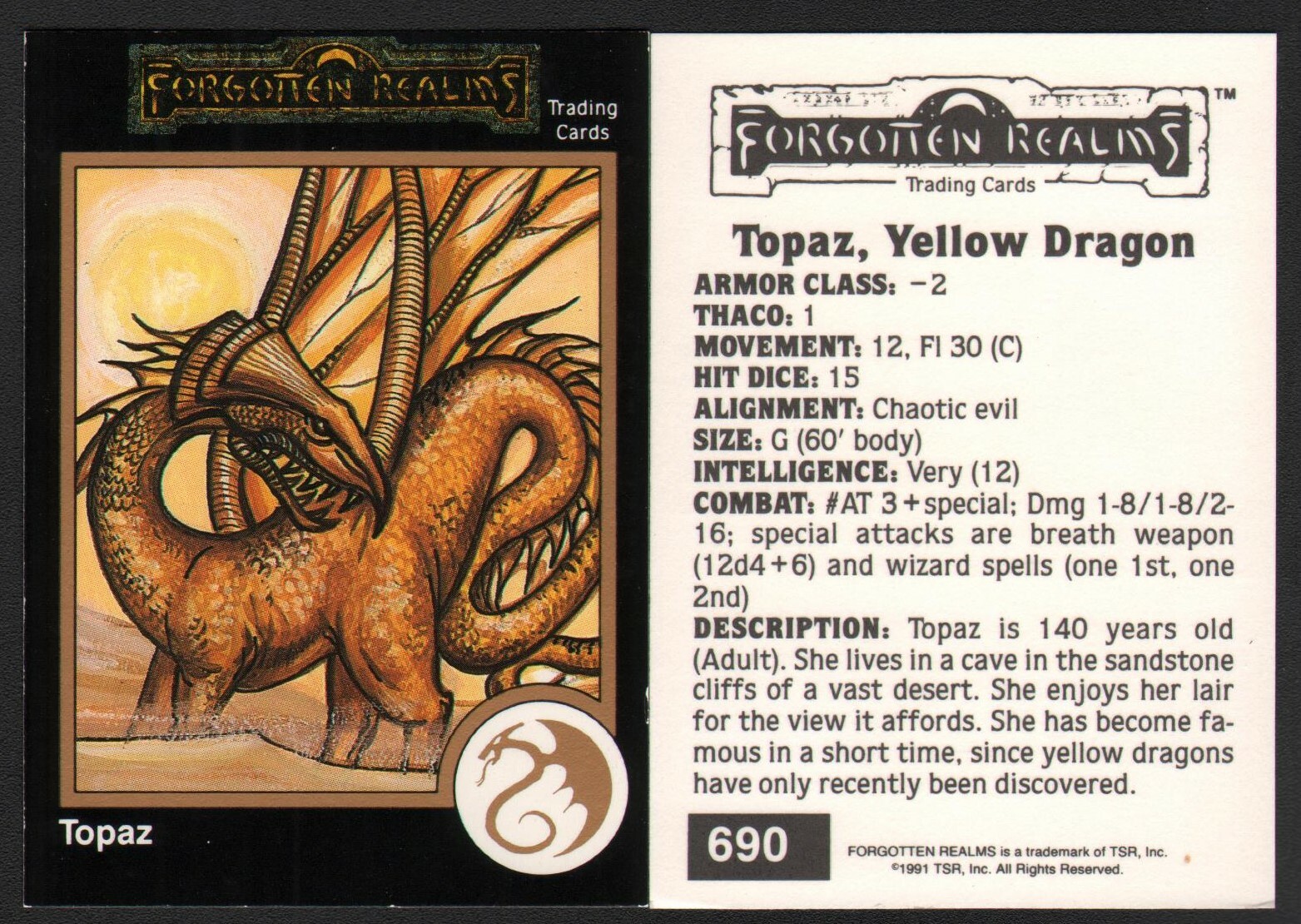 1991 TSR AD&D Gold Border RPG Art Card #690 Dungeons & Dragons Forgotten Realms