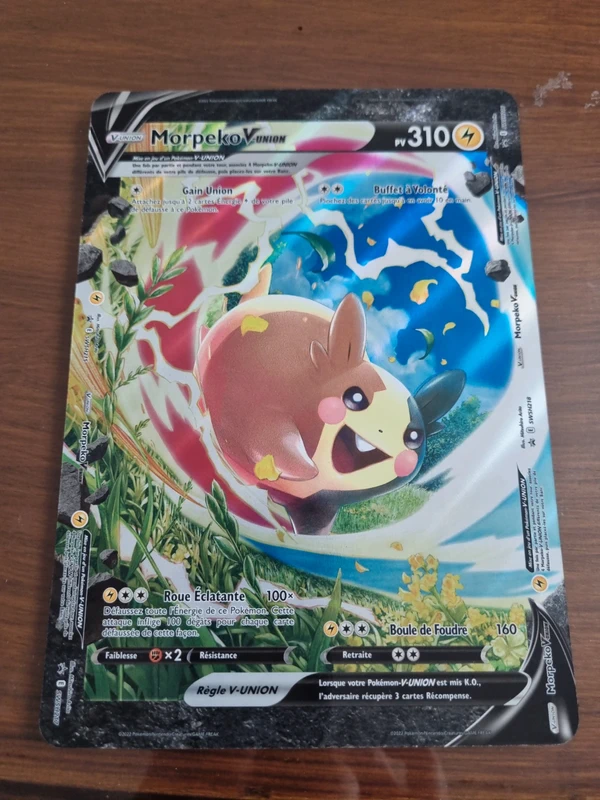 Carte pokemon