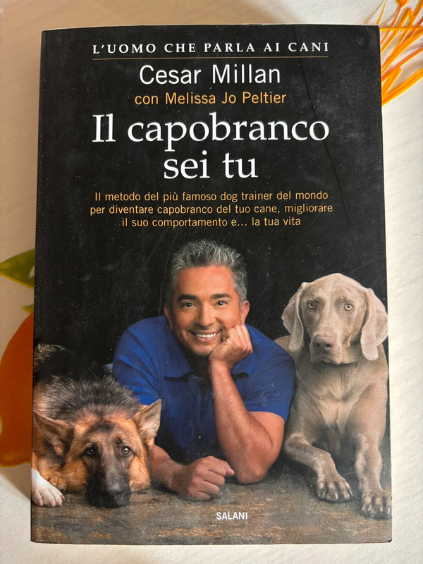 Il capobranco sei tu