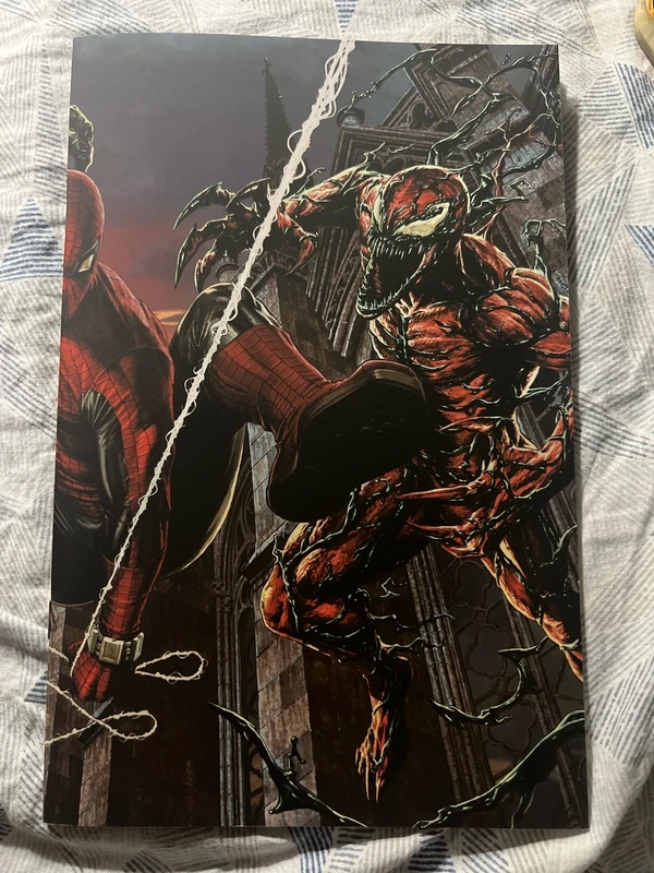 Amazing Spider-Man: Divisi 2 variant Amazing Visions di Lee Bermejo