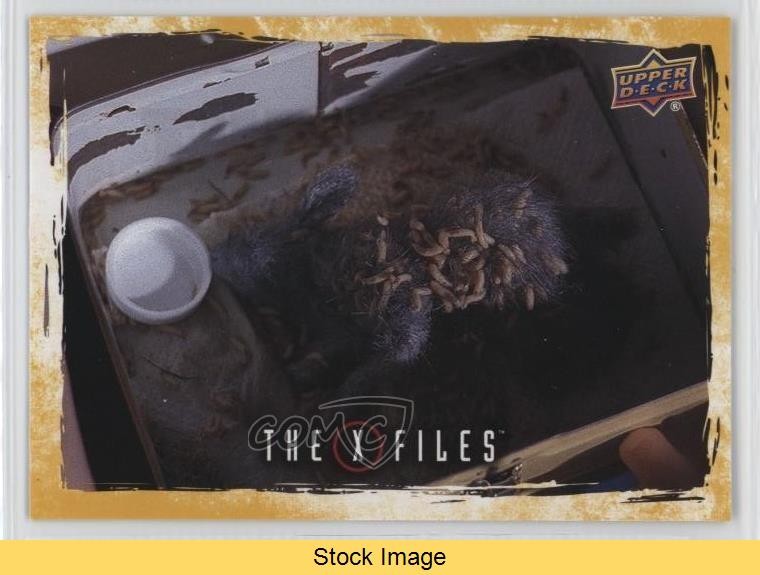 2025 The X-Files Edizione Cospirazioni Governative La Verità è Fuori LEGGI 0f4i