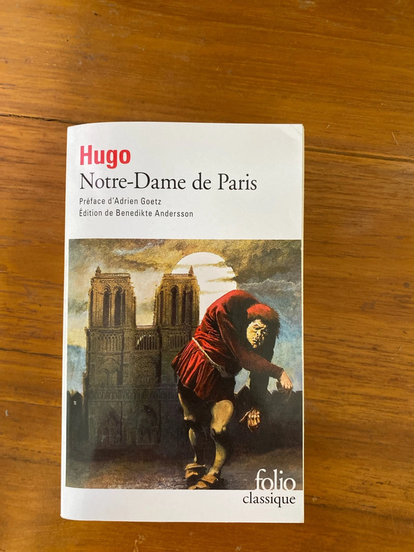 Livre notre dame de Paris