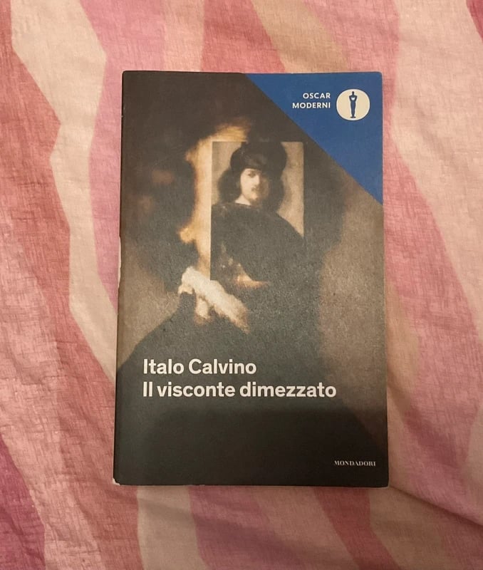 libro il visconte dimezzato