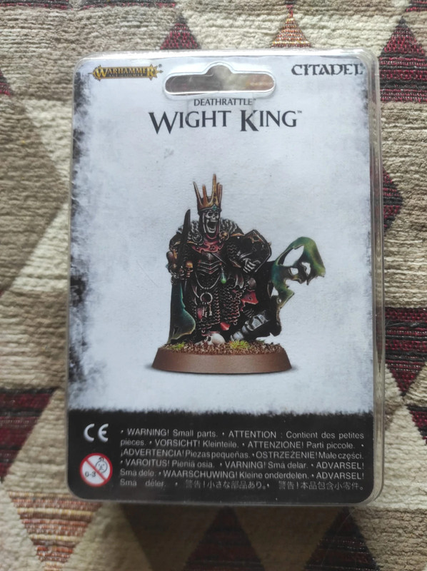 Warhammer - Miniatura di Wight King