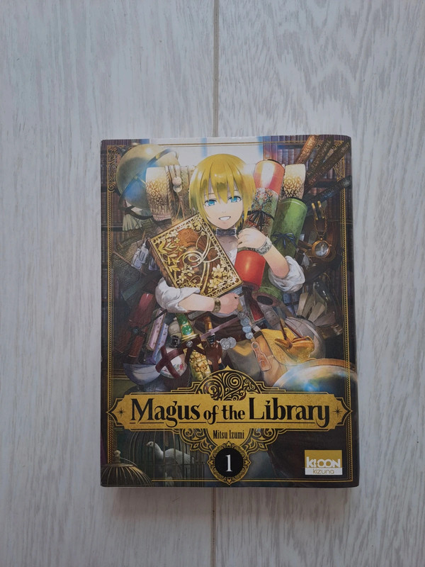 Magnus of the library tome 1