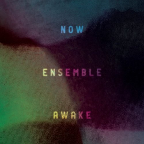 NOW ENSEMBLE JUDD GREENSTEIN SEAN FRIAR MISSY MAZZOLI - Awake - CD - **Mint**