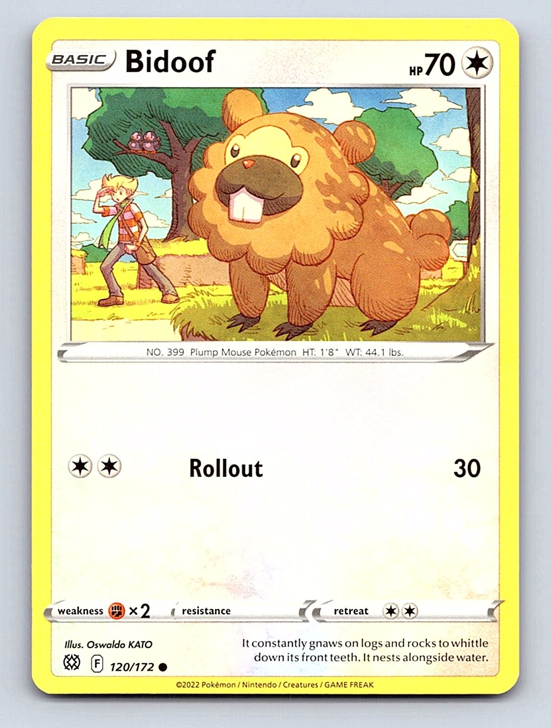 Pokemon Bidoof 120/172 stelle brillanti comuni quasi come nuovo