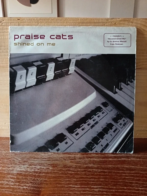Vinyle electro praise cats shined on me