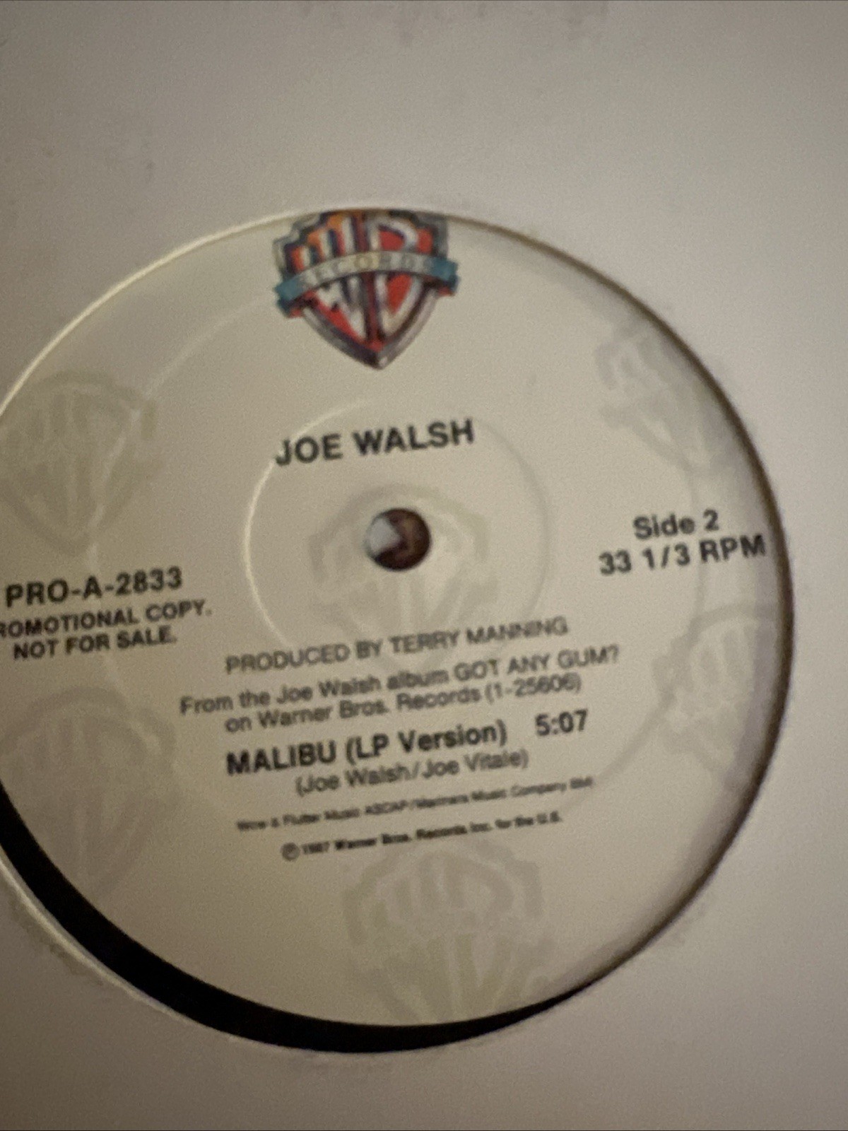 Tony Joe White Self-Titled WHITE PROMO COPY VINYL ONLY (No Jacket) BEAUTY! NM!