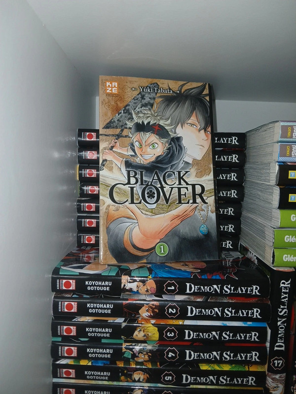 Tome 1 de Black clover