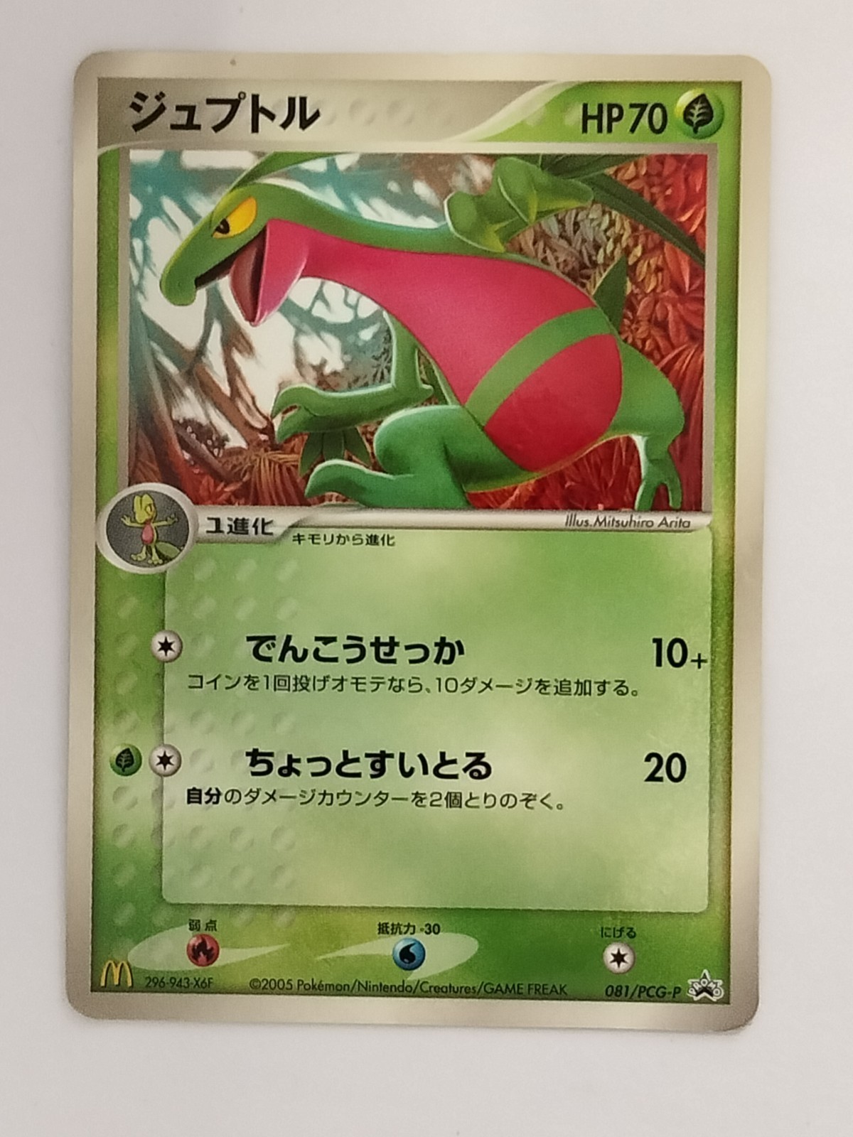 【Danneggiato】 Grovyle 081/PCG-P Mcdonalds Carta Pokemon Giapponese (P9465)
