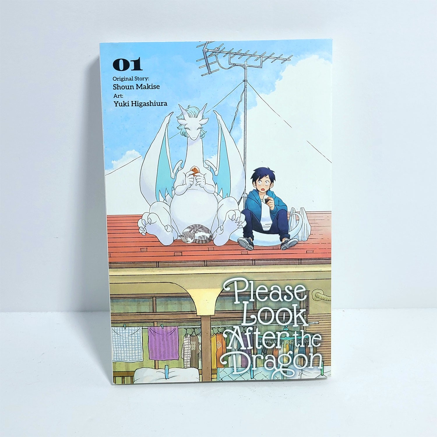 Please Look After the Dragon Vol 1 manga inglese Shoun Makise Yuki Higashiura LN