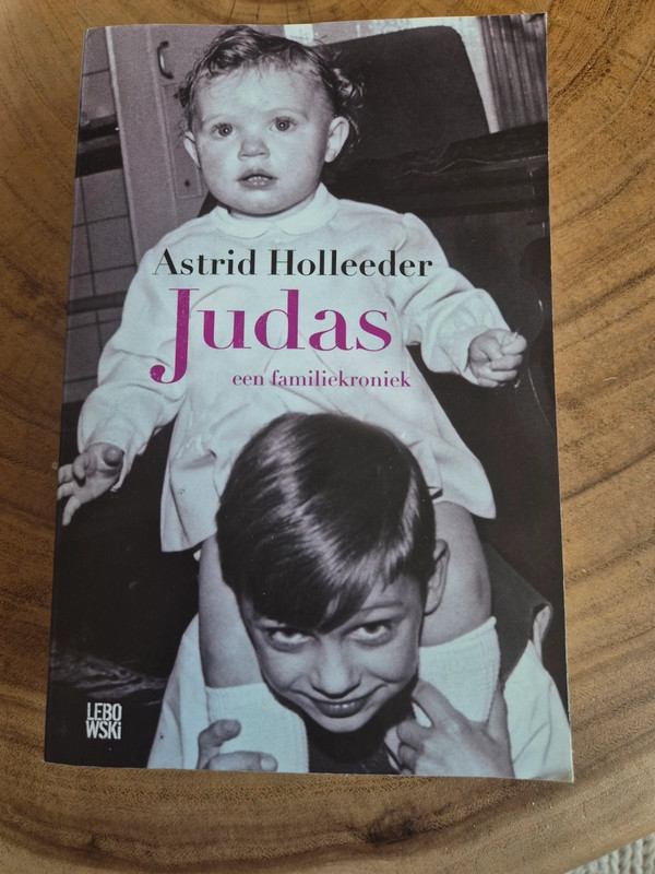 Judas boek van Astrid holleeder