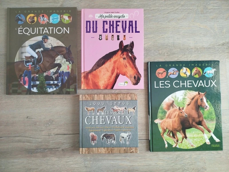 Lot de 4 livres sur les chevaux