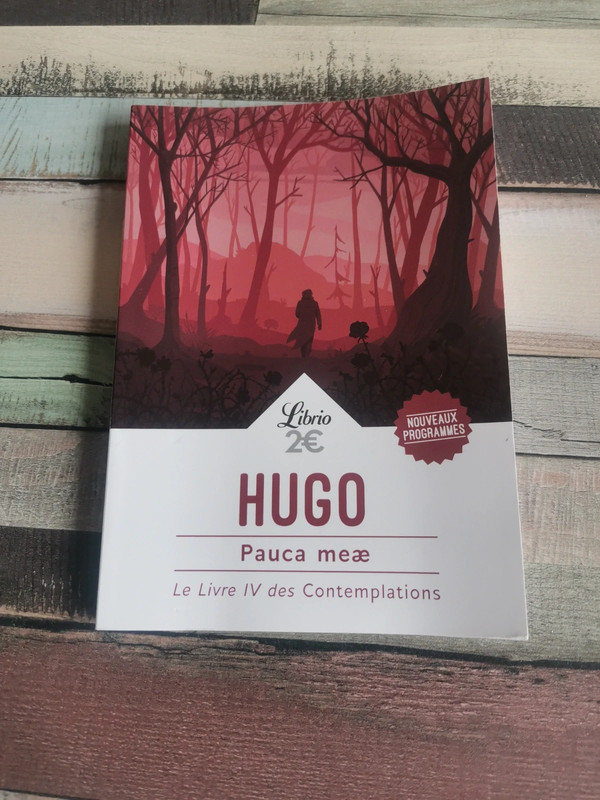 Le livre IV des Contemplations Hugo