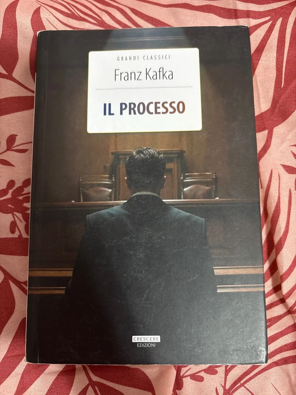 Il processo