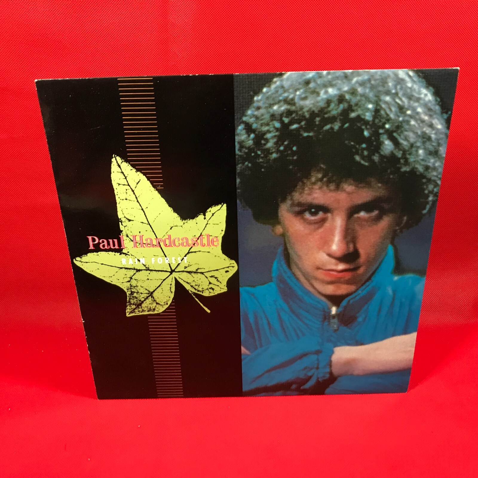 PAUL HARDCASTLE Rain Forest - 1985 UK 12" vinyl single Fire Bluebird record