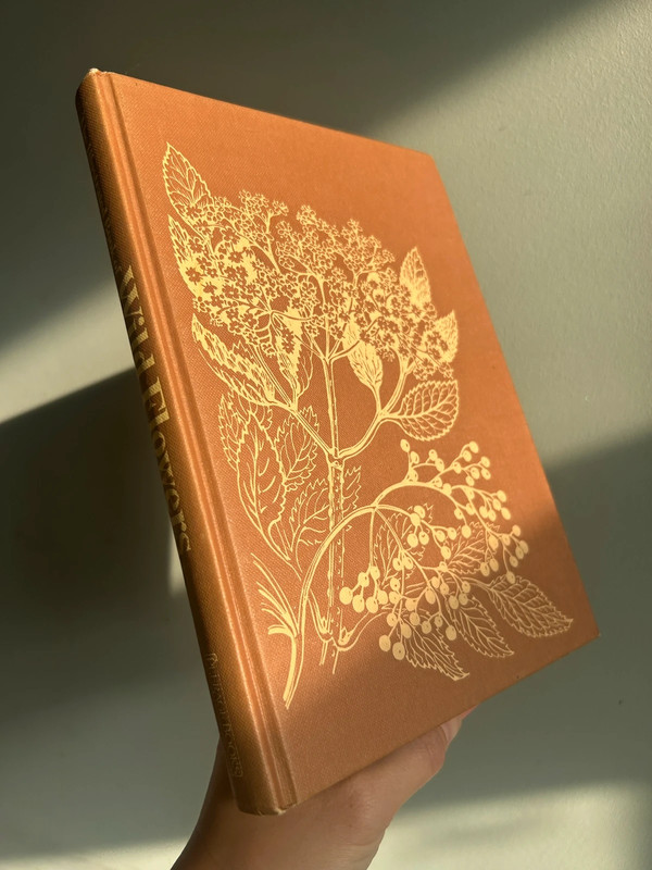 The Illustrated Book of Wild Flowers
