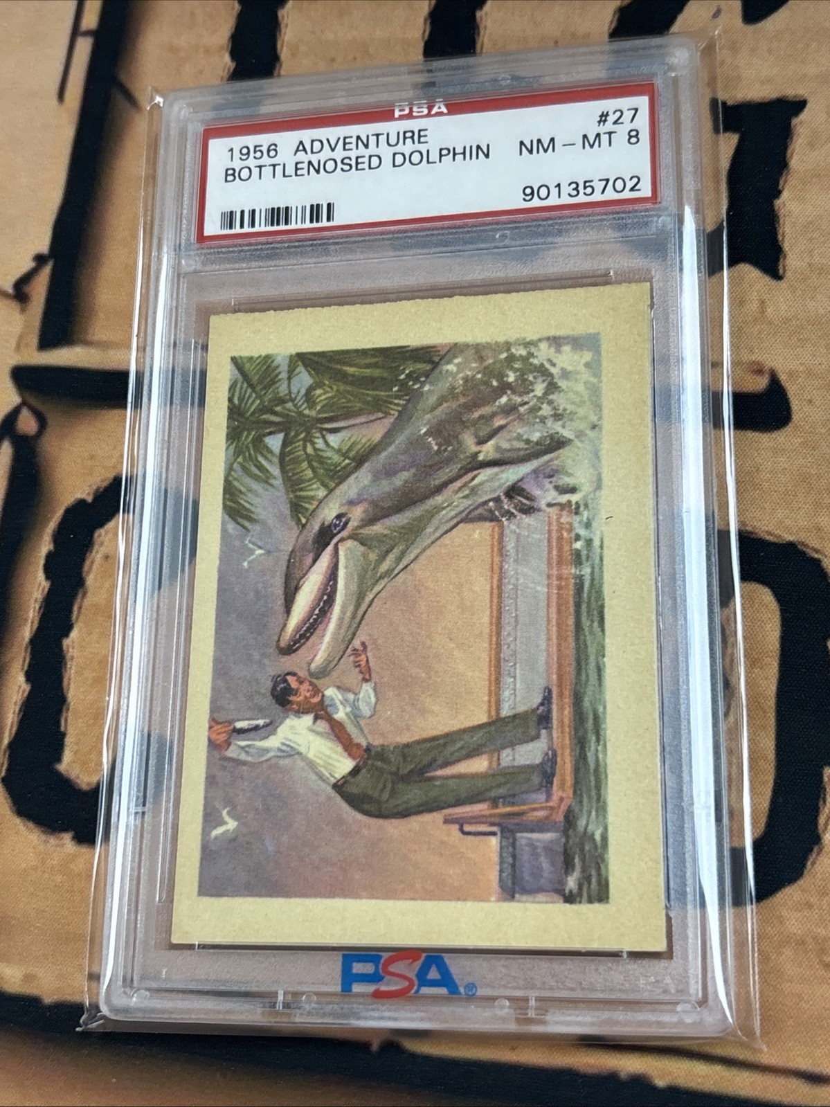 1956 Topps Adventure Bottlenosed Dolphin #27 PSA 8 NM/MT