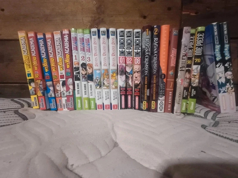Lot manga