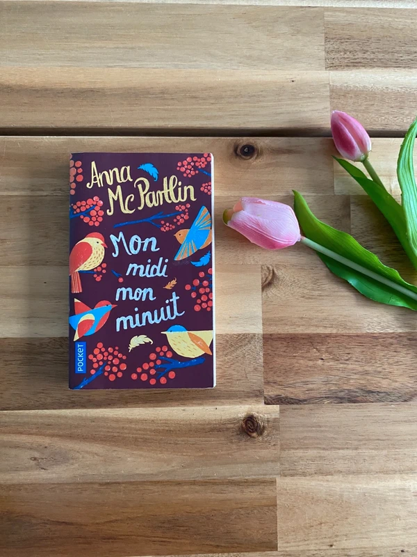 Mon midi mon minuit de Anna McPartlin