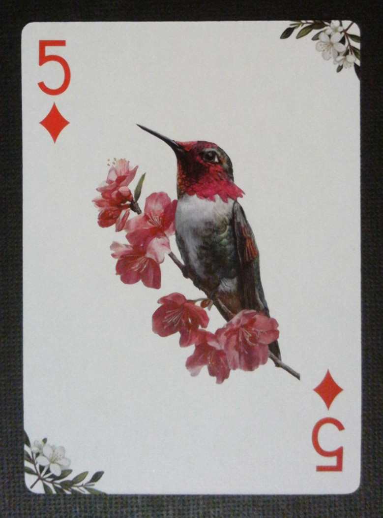 Bird Themed Playing Card Playing Card Hummingbird 5 Damonds