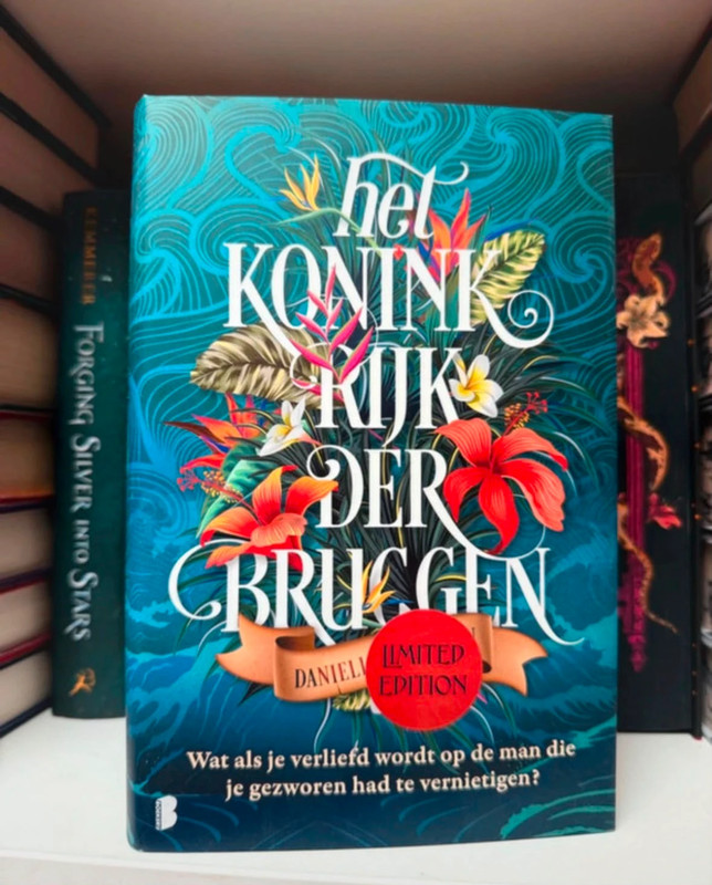 Het Koninkrijk der Bruggen - Limited Edition