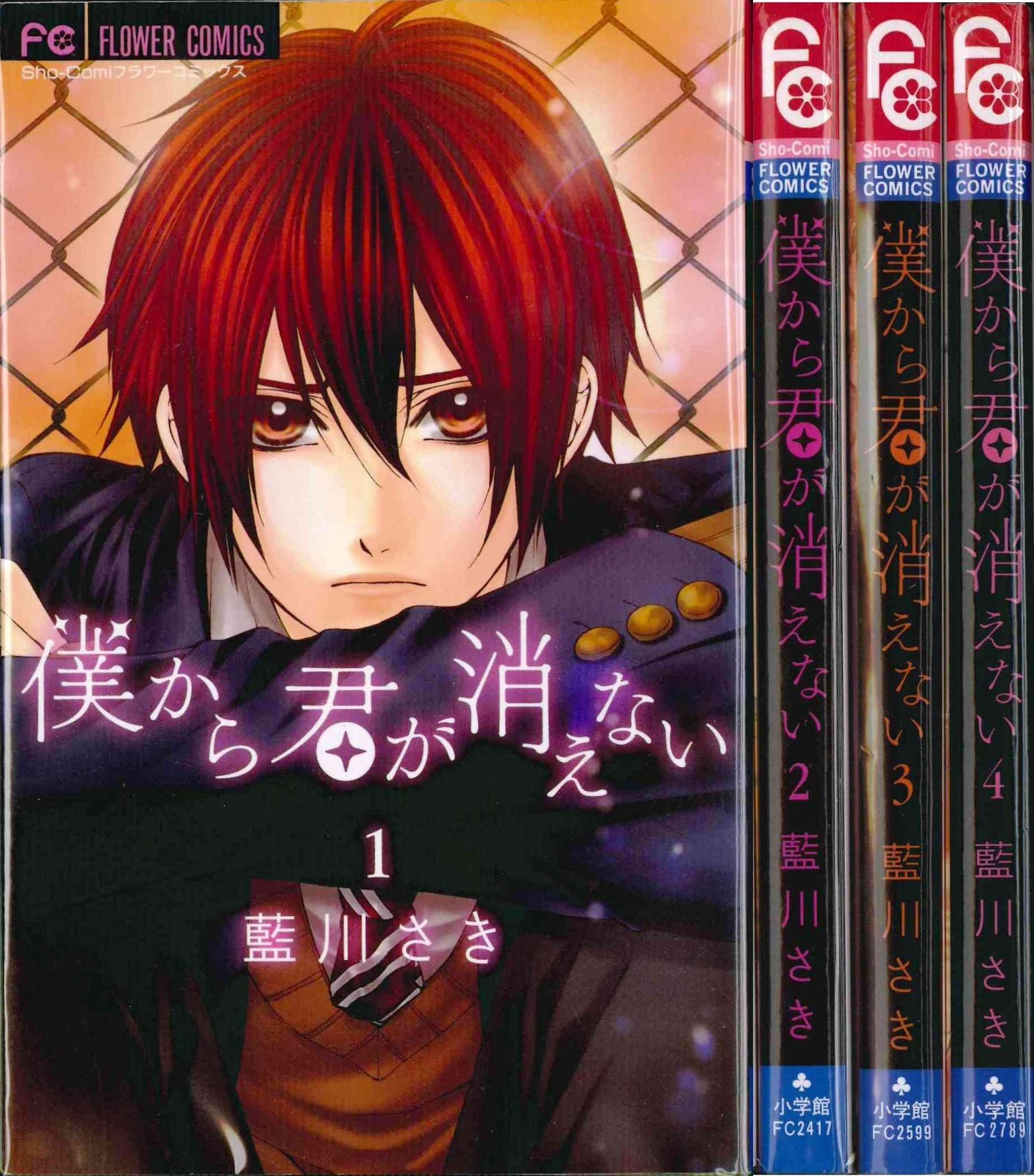 Shogakukan You Won't Disappear from Me Comic Set completo di 4 volumi Shōjo...