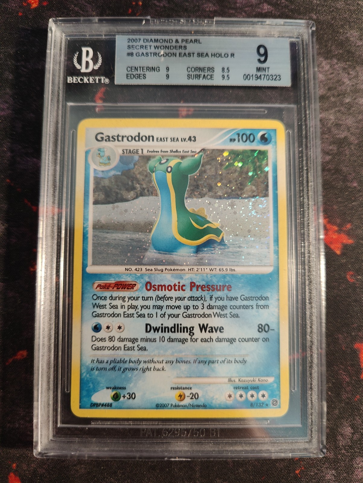 East Sea Gastrodon Secret Wonders Holo Graded BGS 9