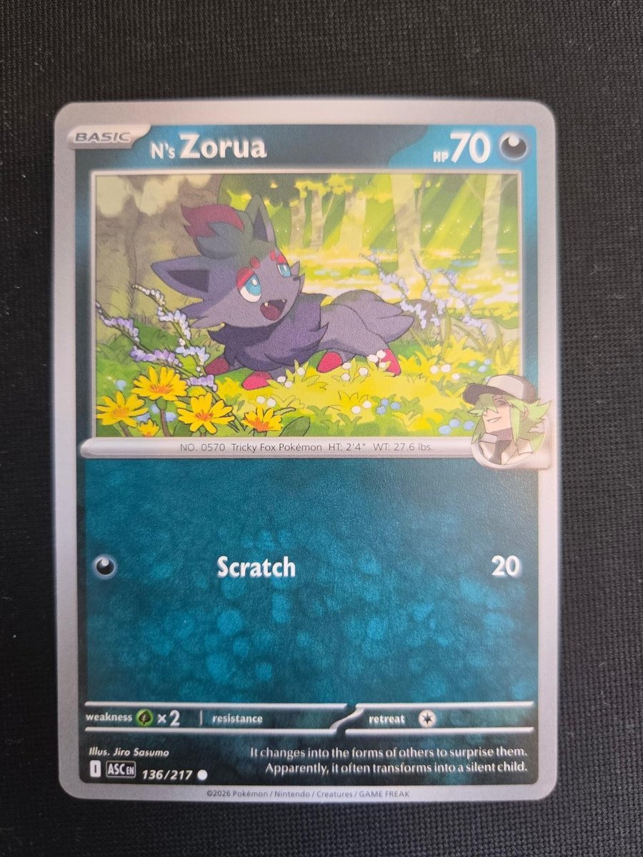 N's Zorua 136/217 Common Ascended Heroes Pokemon NM