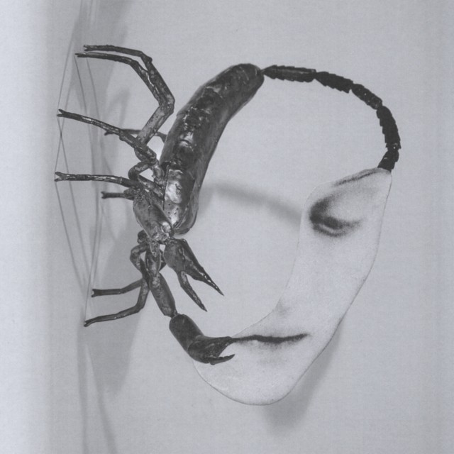 Tortoise: TOUCH (140G) (Vinyl) NEW