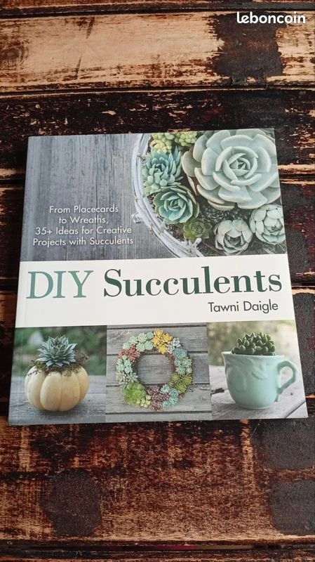 Diy succulents