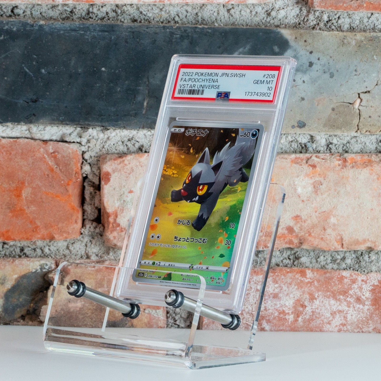 Pokemon Poochyena Fiffyen 208/172 PSA 10 JP VSTAR Universe AR God Pack