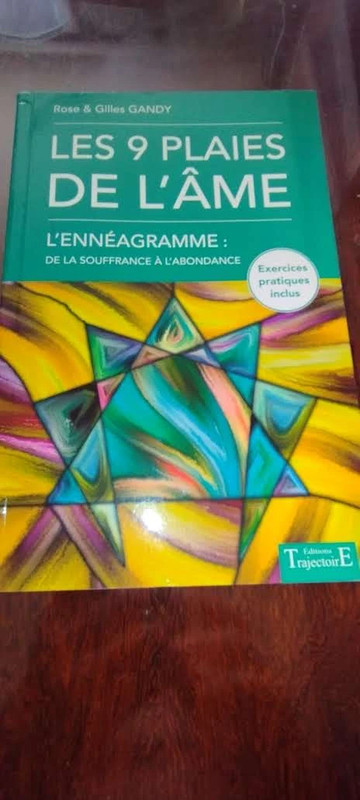 Les 9 Plaies De L'âme - L'ennéagramme : De La Souffrance À L'abondance - Gandy Rose
