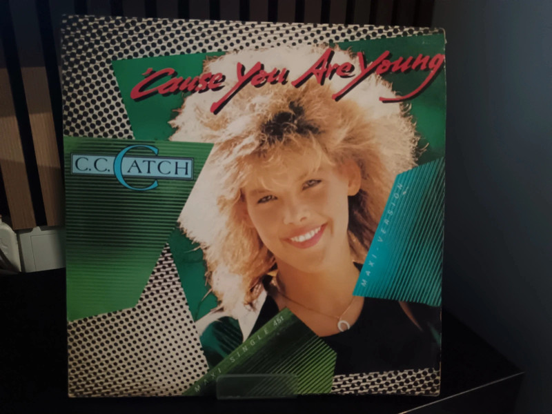 Disco de vinil