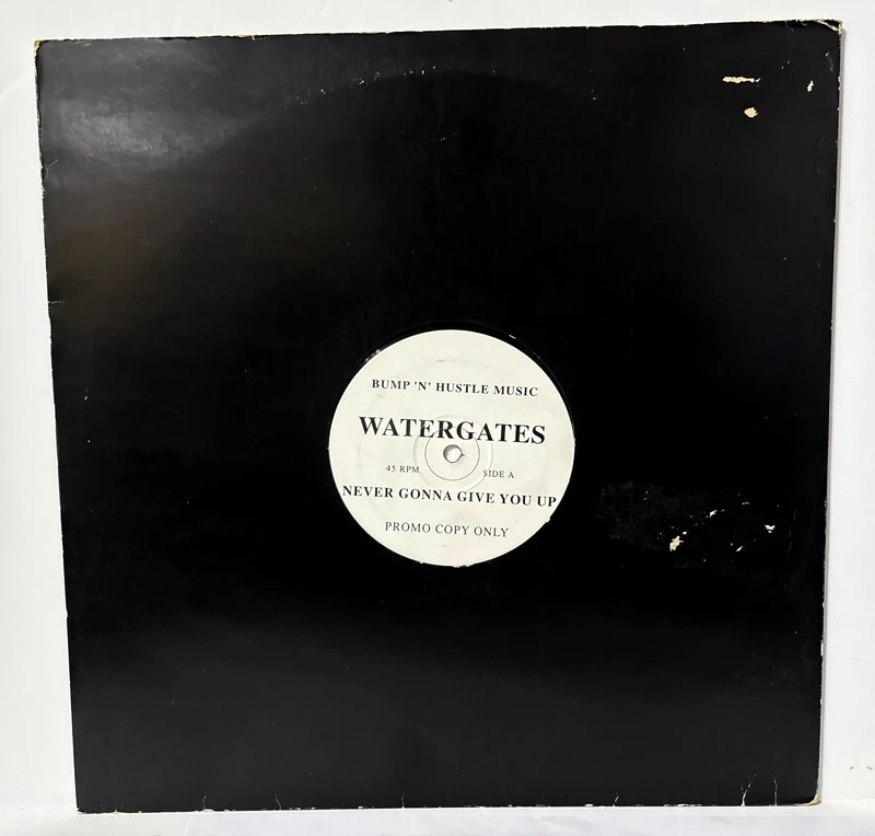 Maxi Single 12" - Watergates - Never Gonna Give You Up (promo)